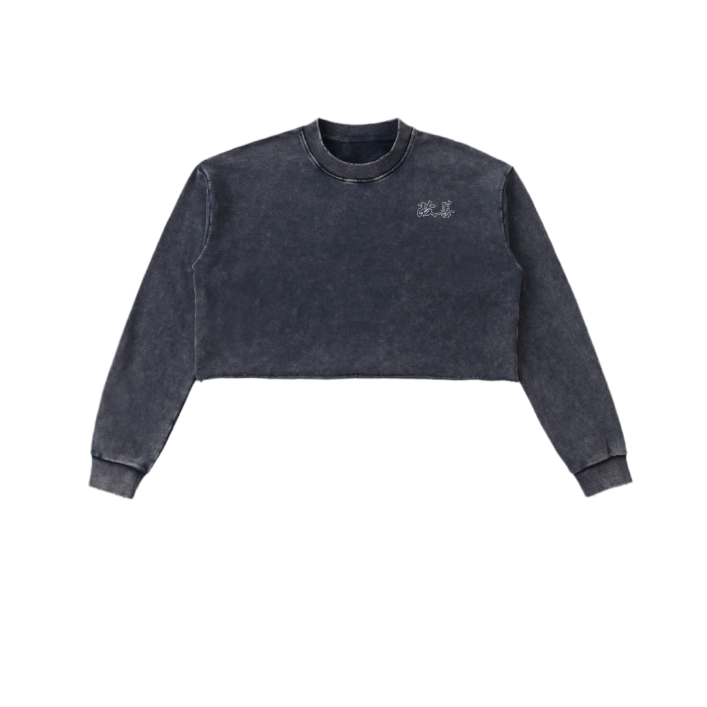 Snow Washed Raw Edge Cropped Sweatshirt