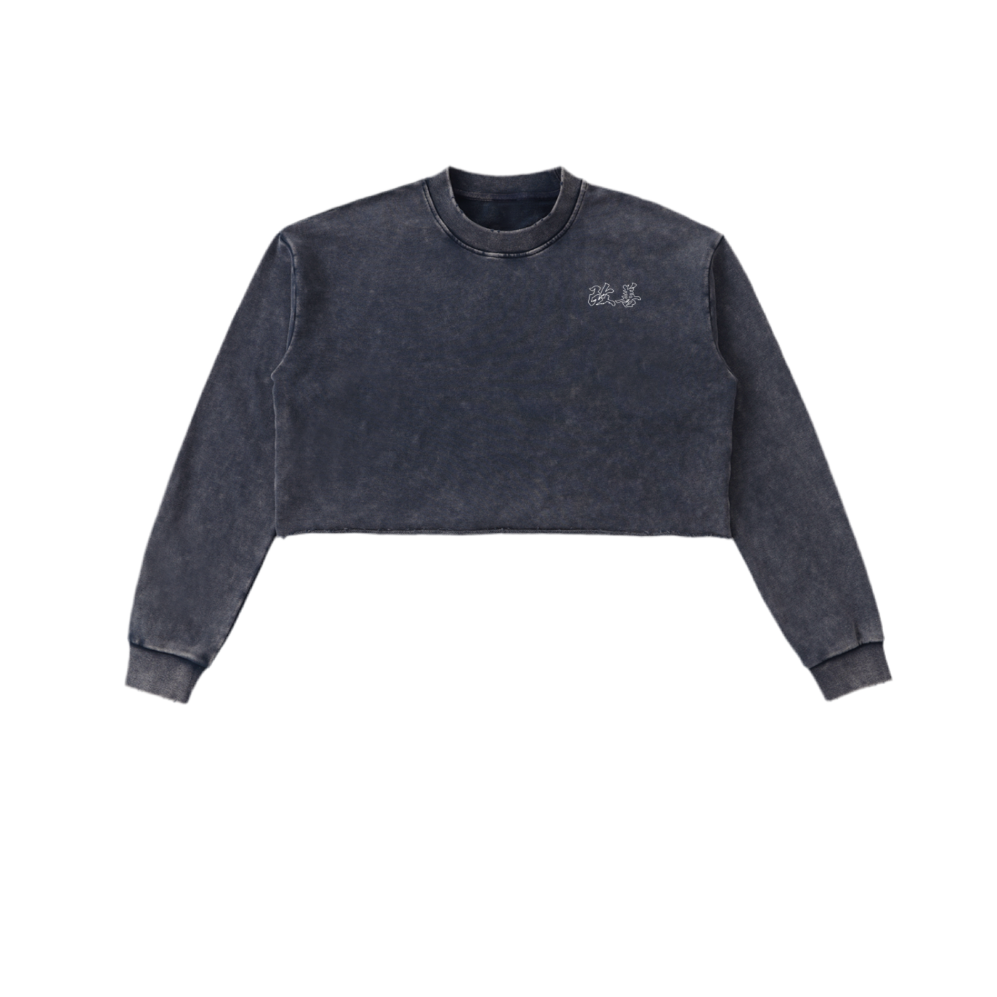 Snow Washed Raw Edge Cropped Sweatshirt
