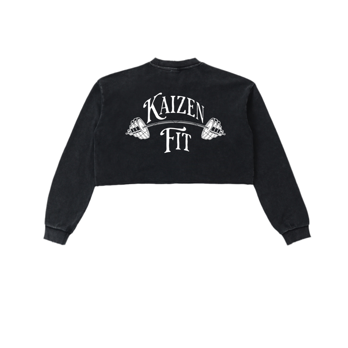Snow Washed Raw Edge Cropped Sweatshirt