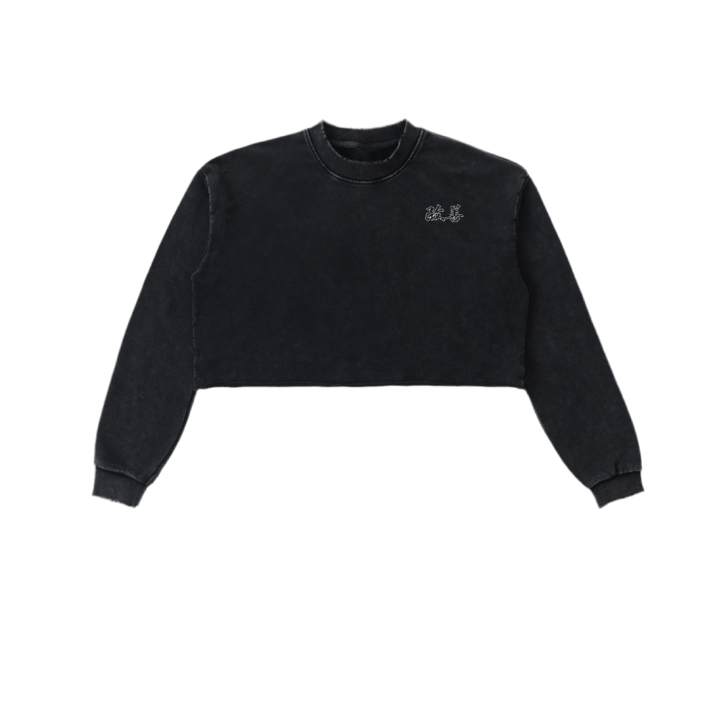 Snow Washed Raw Edge Cropped Sweatshirt