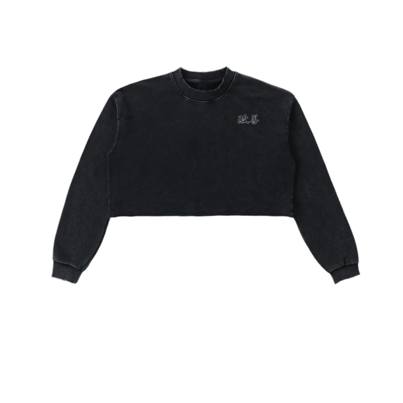 Snow Washed Raw Edge Cropped Sweatshirt