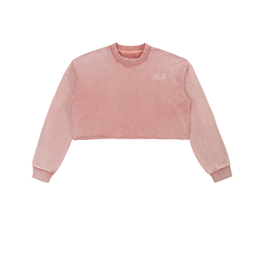 Snow Washed Raw Edge Cropped Sweatshirt