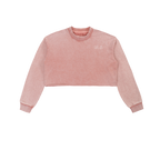 Snow Washed Raw Edge Cropped Sweatshirt