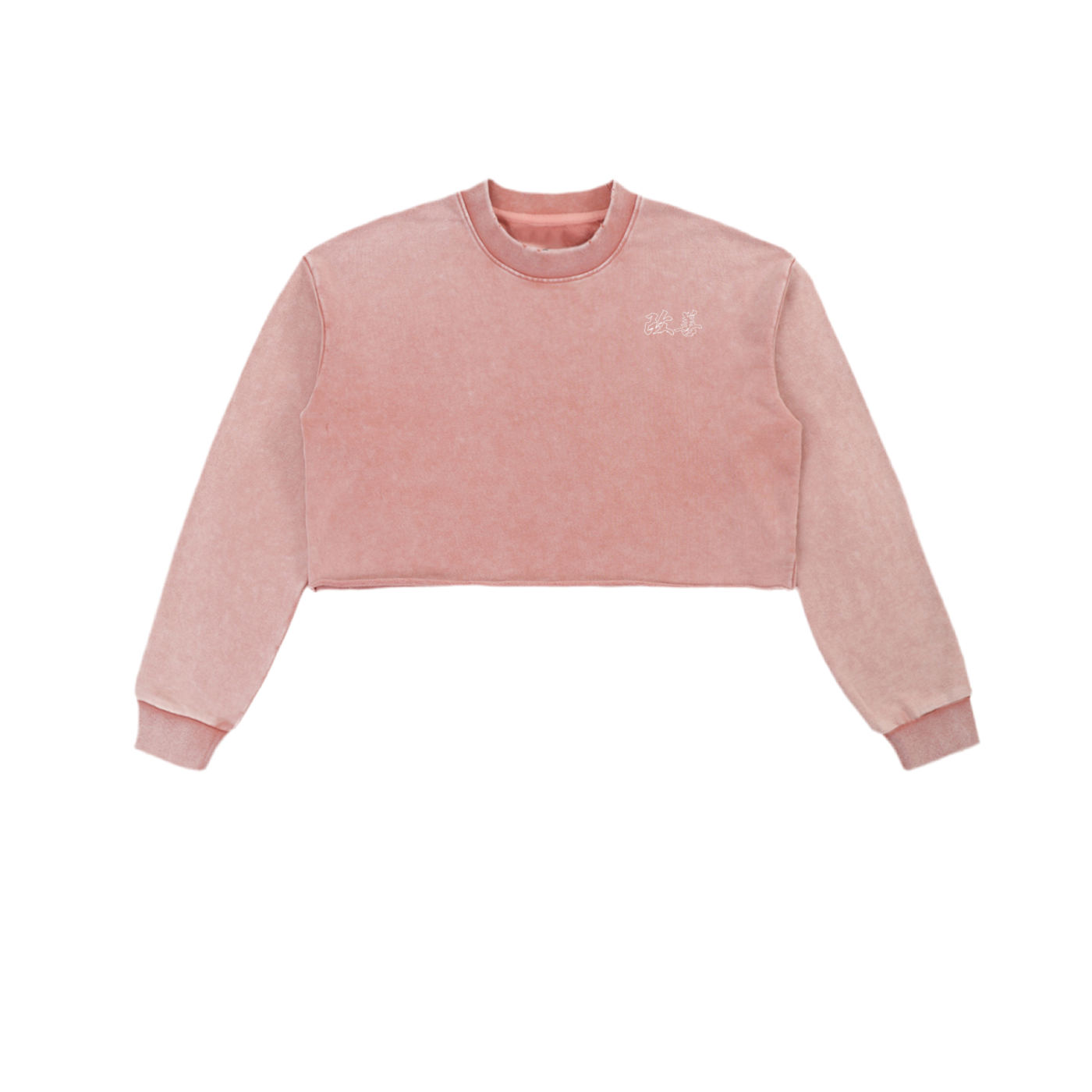 Snow Washed Raw Edge Cropped Sweatshirt