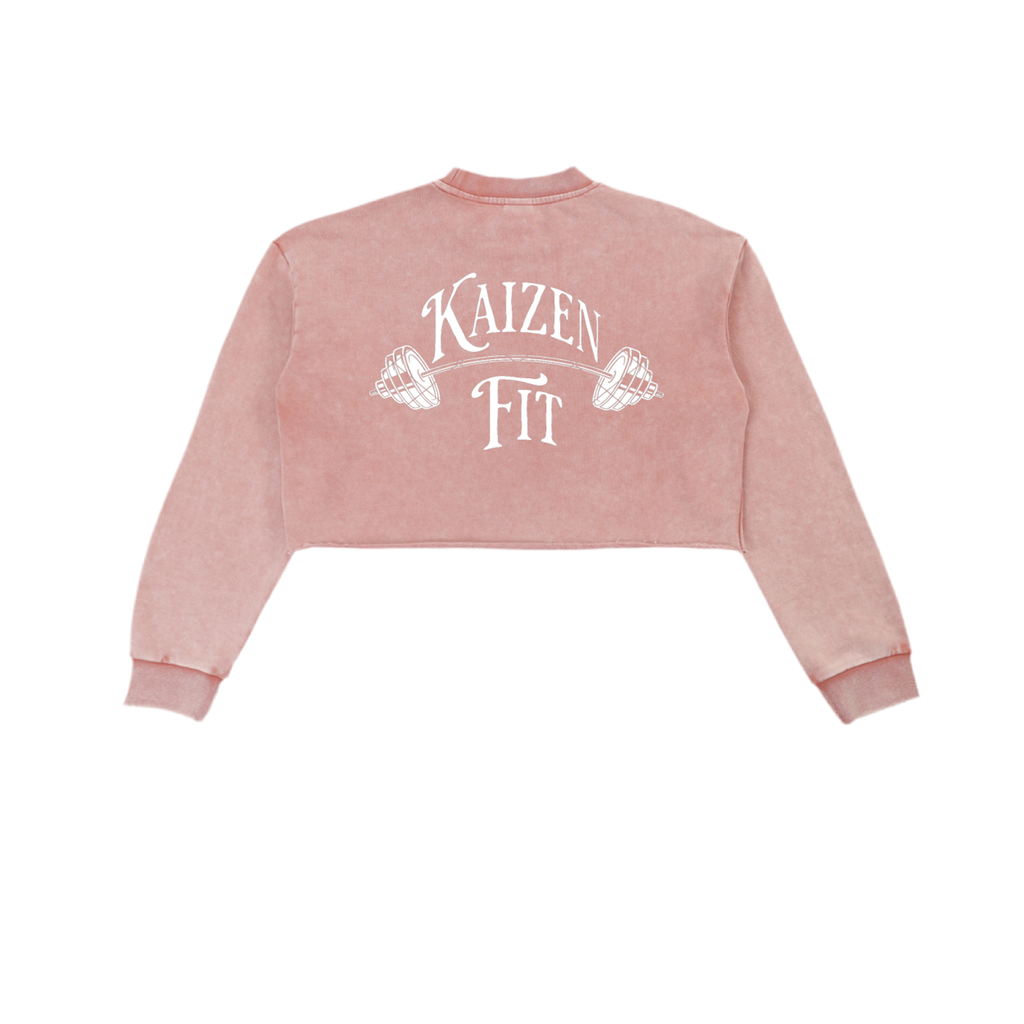 Snow Washed Raw Edge Cropped Sweatshirt
