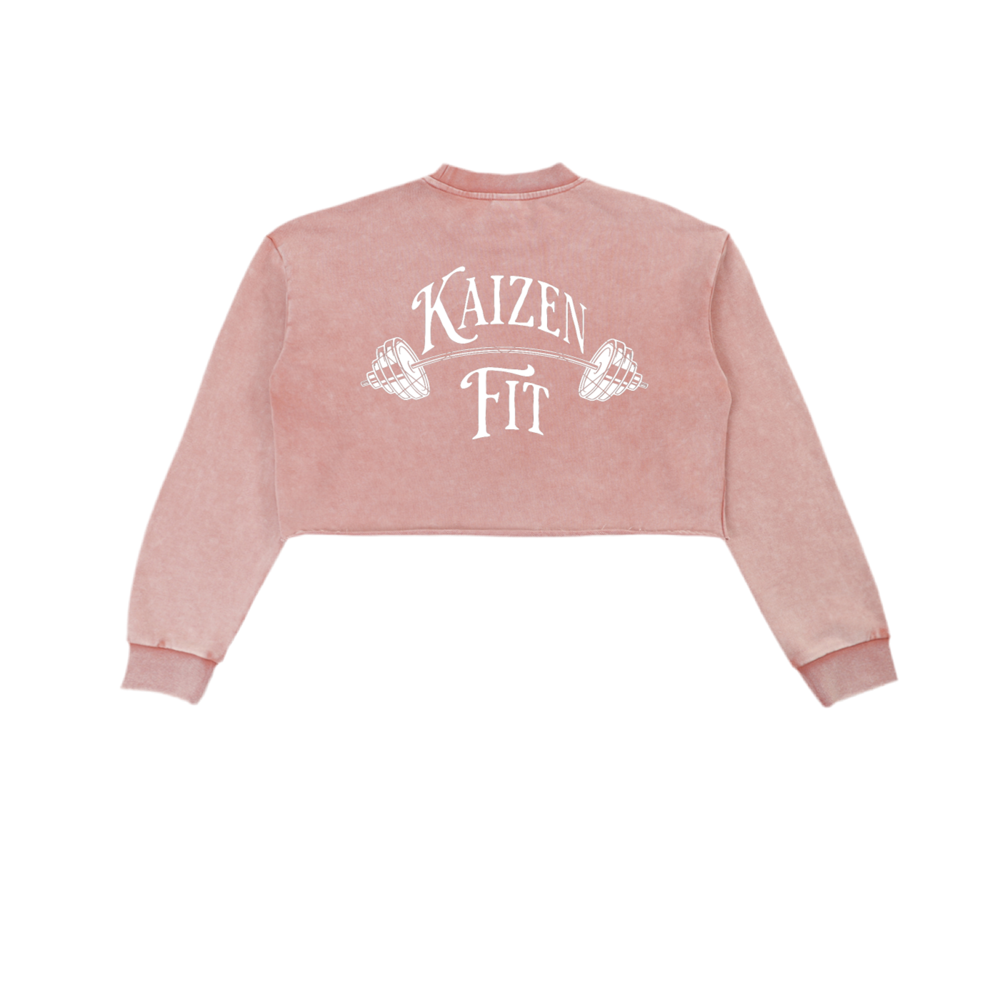 Snow Washed Raw Edge Cropped Sweatshirt